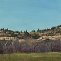 The Bluffs